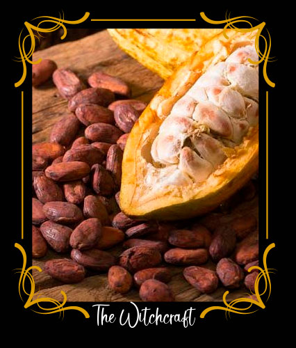 Cacao