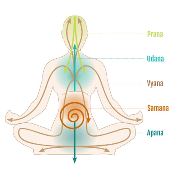 Prana