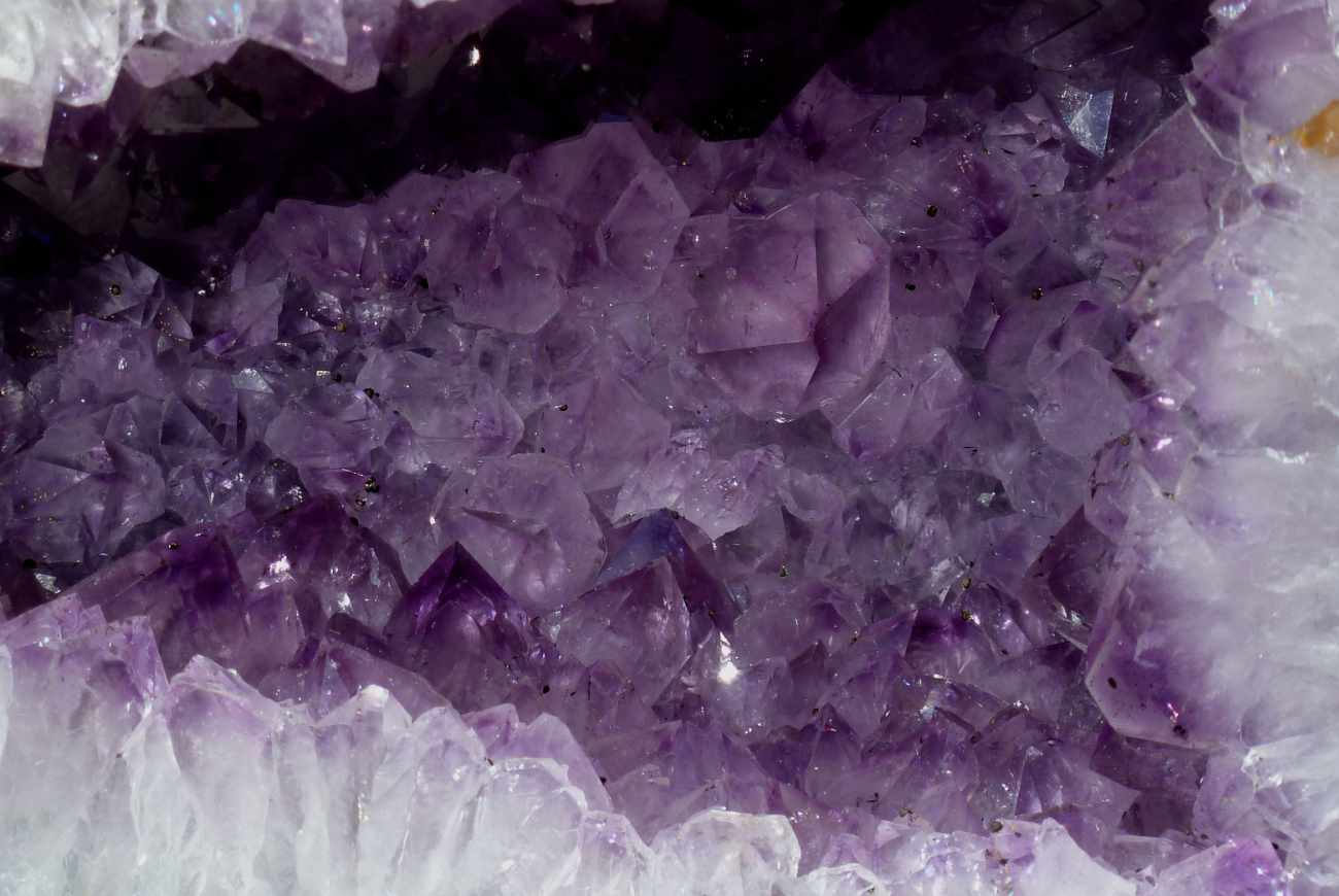La Drusa, il ritorno all'origine