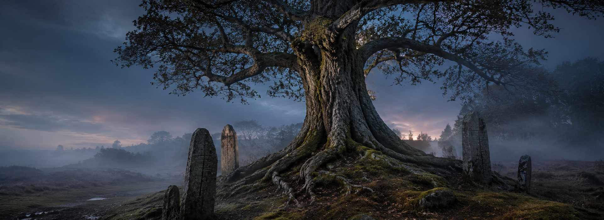Scopri il tuo Albero simbolico